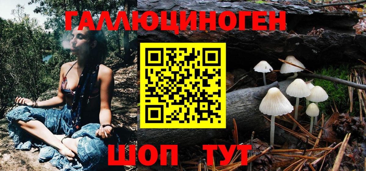 Галлюциногенные грибы Psilocybe Бирск