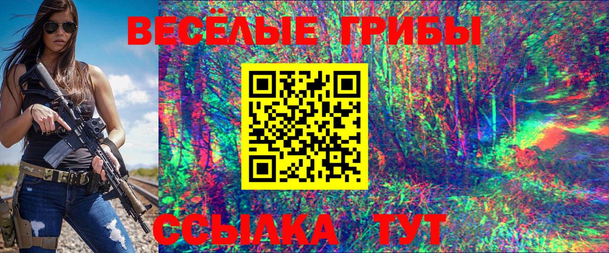Бирск  Псилоцибиновые грибы мухоморы  Вход с VPN  Псилоцибиновые грибы прущие грибы 